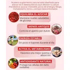 Blood Sugar Complex – Apoyo para niveles saludables de azúcar